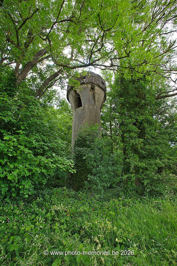 2020-06-07-0021.jpg