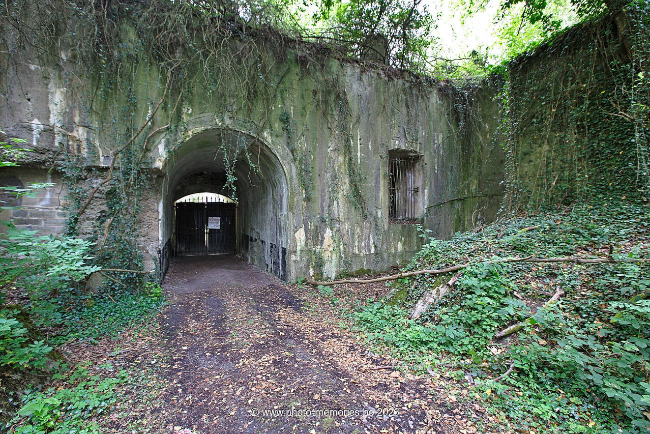 2020-06-07-0022.jpg