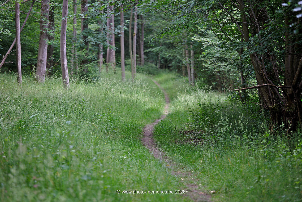 2020-06-07-0025.jpg