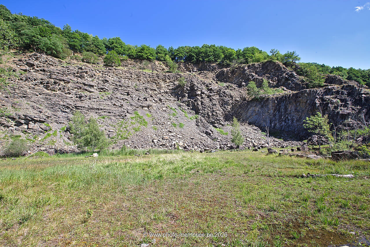 2020-06-13-0002.jpg