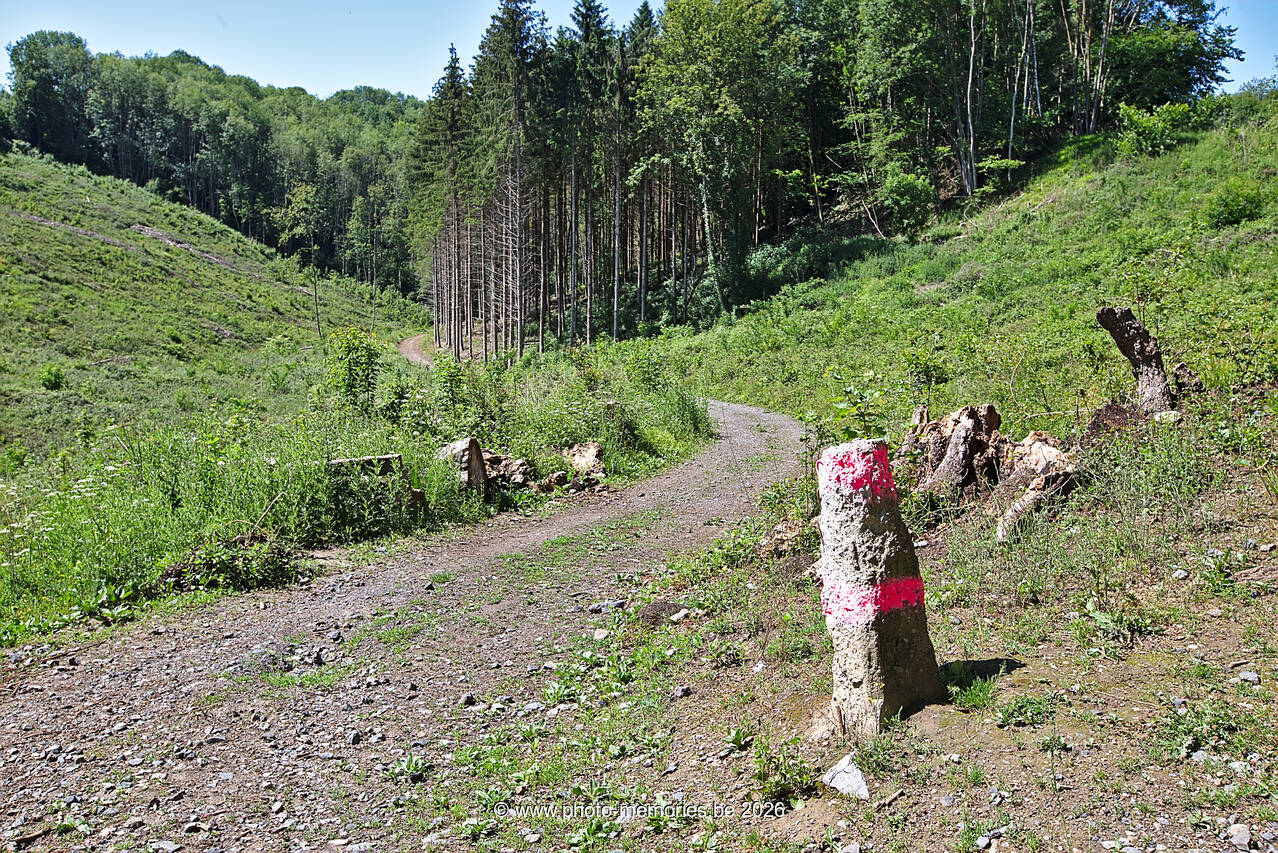 2020-06-13-0009.jpg