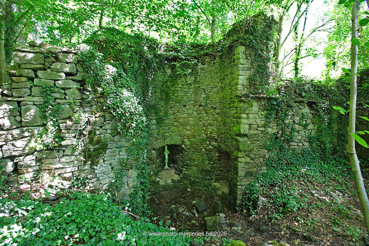 2020-06-13-0014.jpg