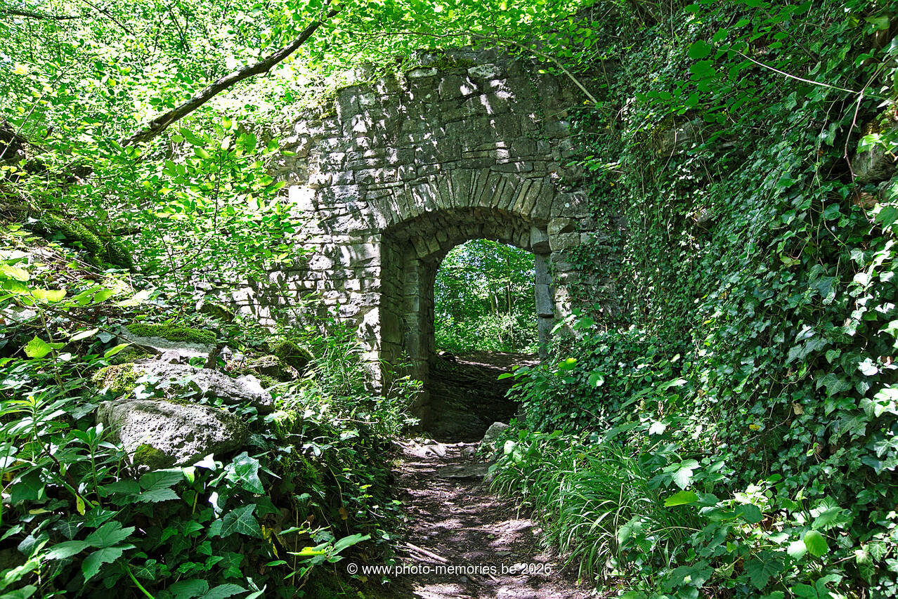 2020-06-13-0015.jpg