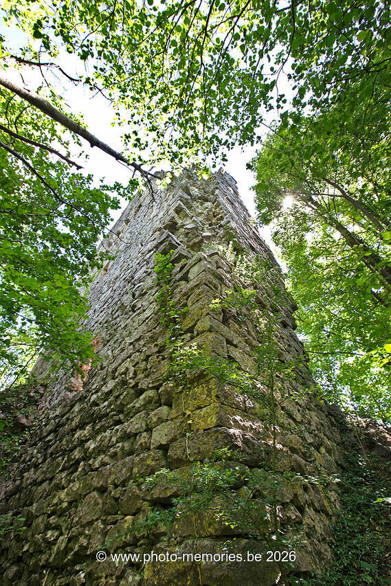 2020-06-13-0016.jpg