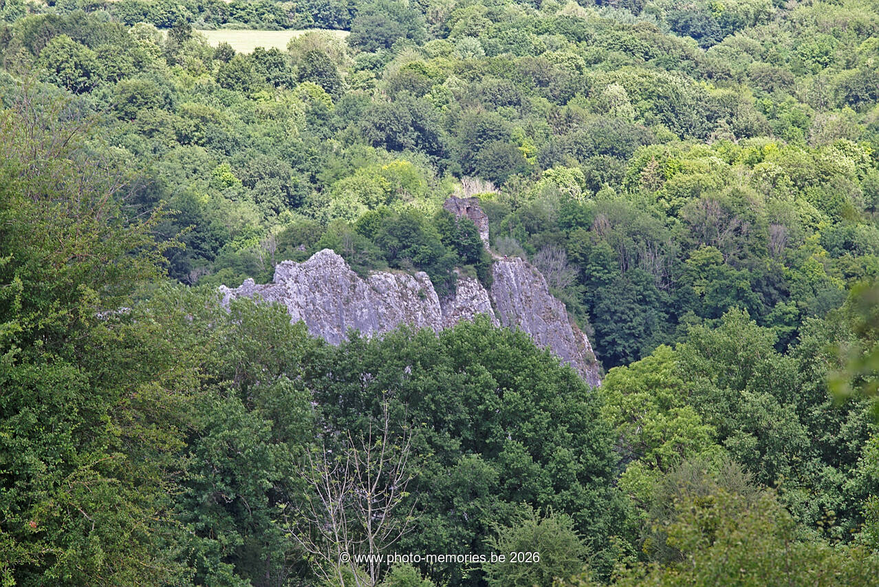 2020-06-13-0021.jpg
