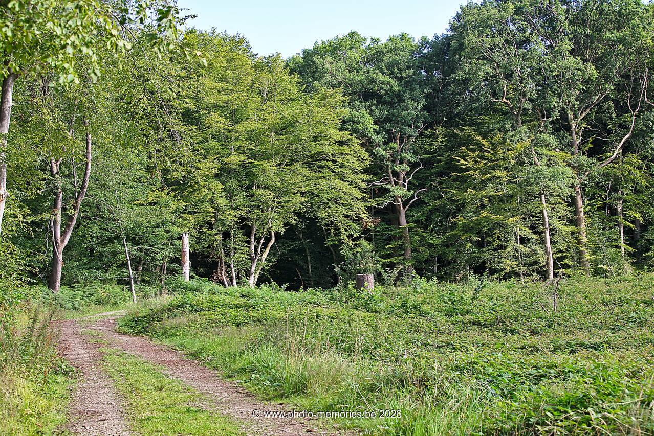 2020-07-21-0005.jpg