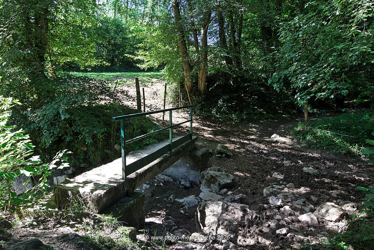 2020-07-21-0014.jpg