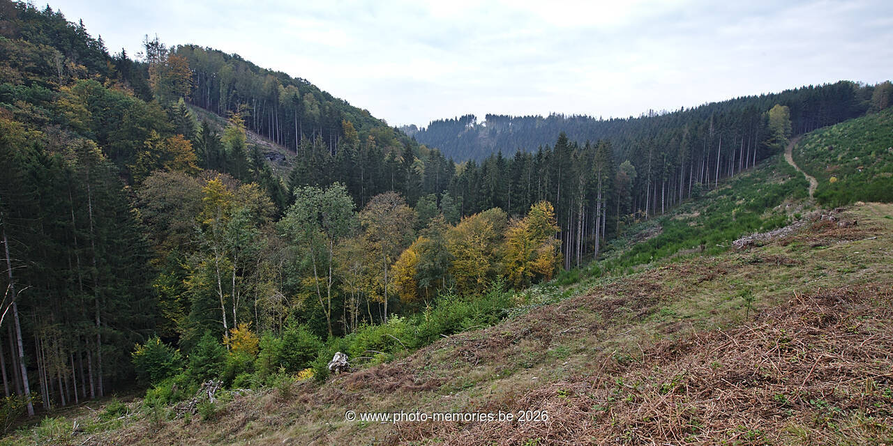 2020-10-18-0021.jpg