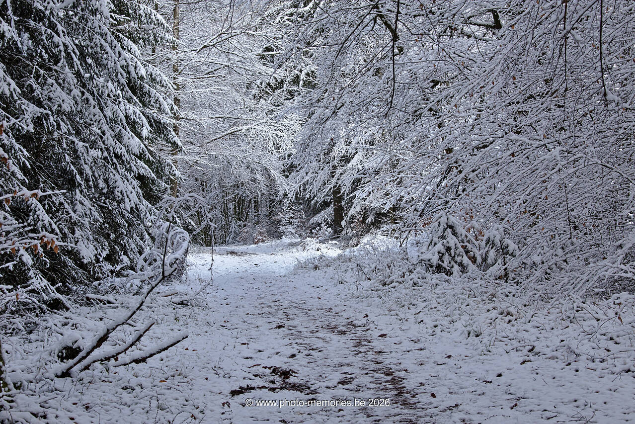2021-01-09-0007.jpg