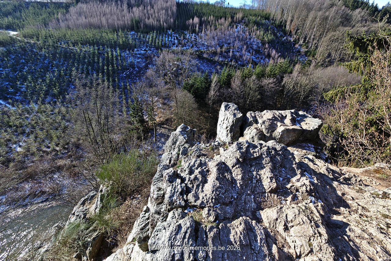 2021-02-12-0005.jpg