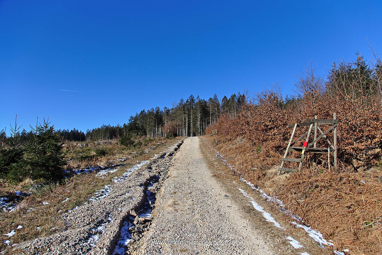 2021-02-13-0025.jpg