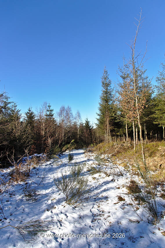 2021-02-13-0032.jpg