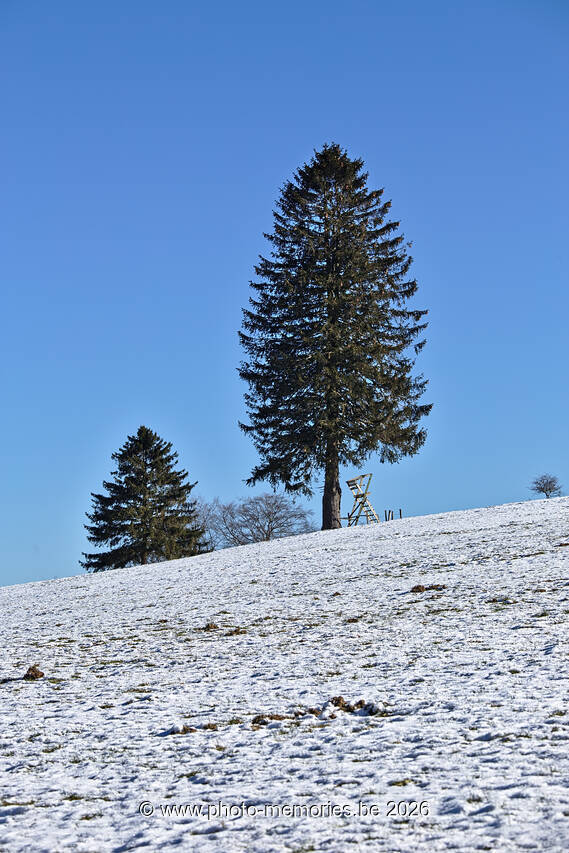 2021-02-13-0033.jpg