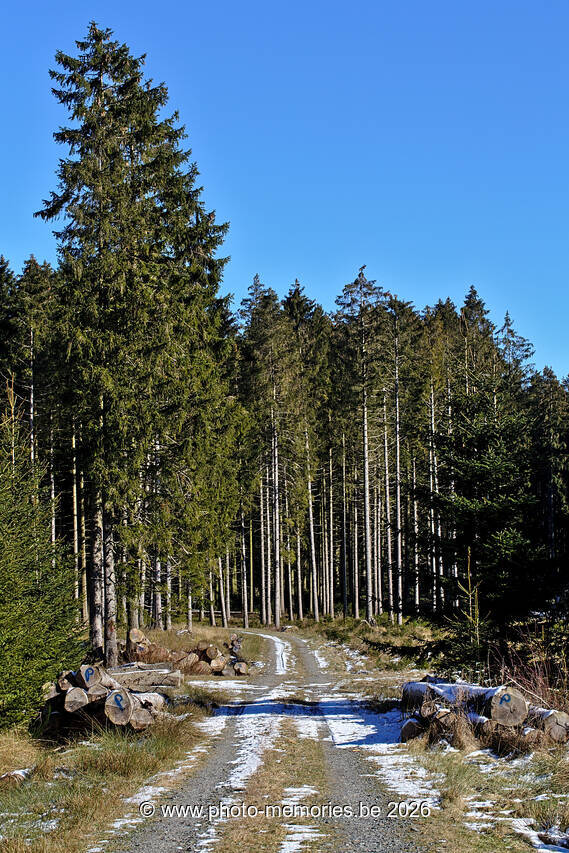 2021-02-13-0049.jpg