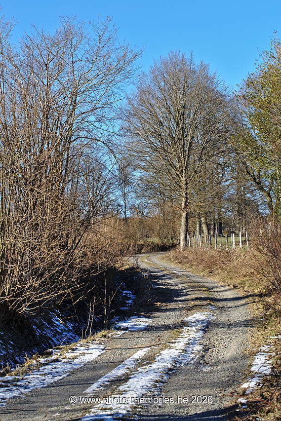 2021-02-13-0051.jpg