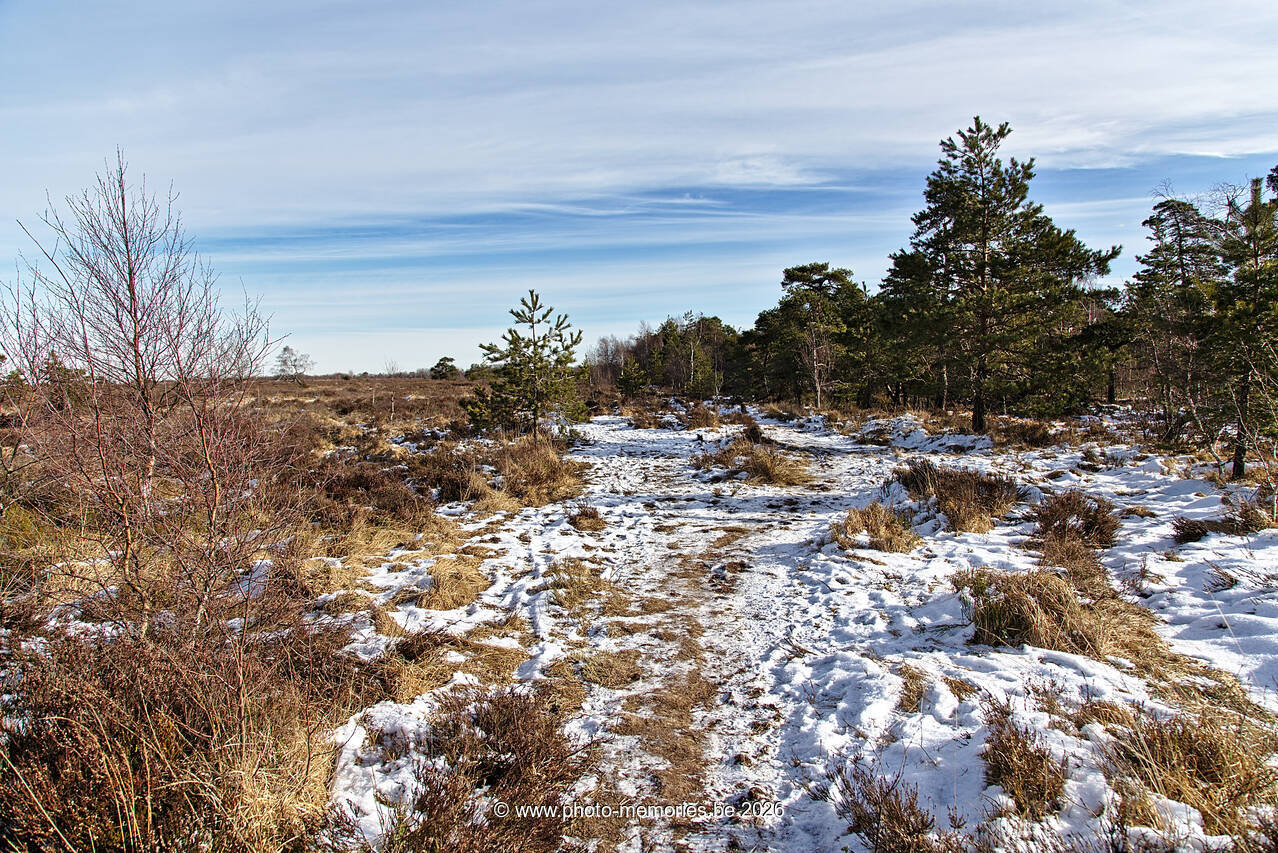 2021-02-14-0066.jpg