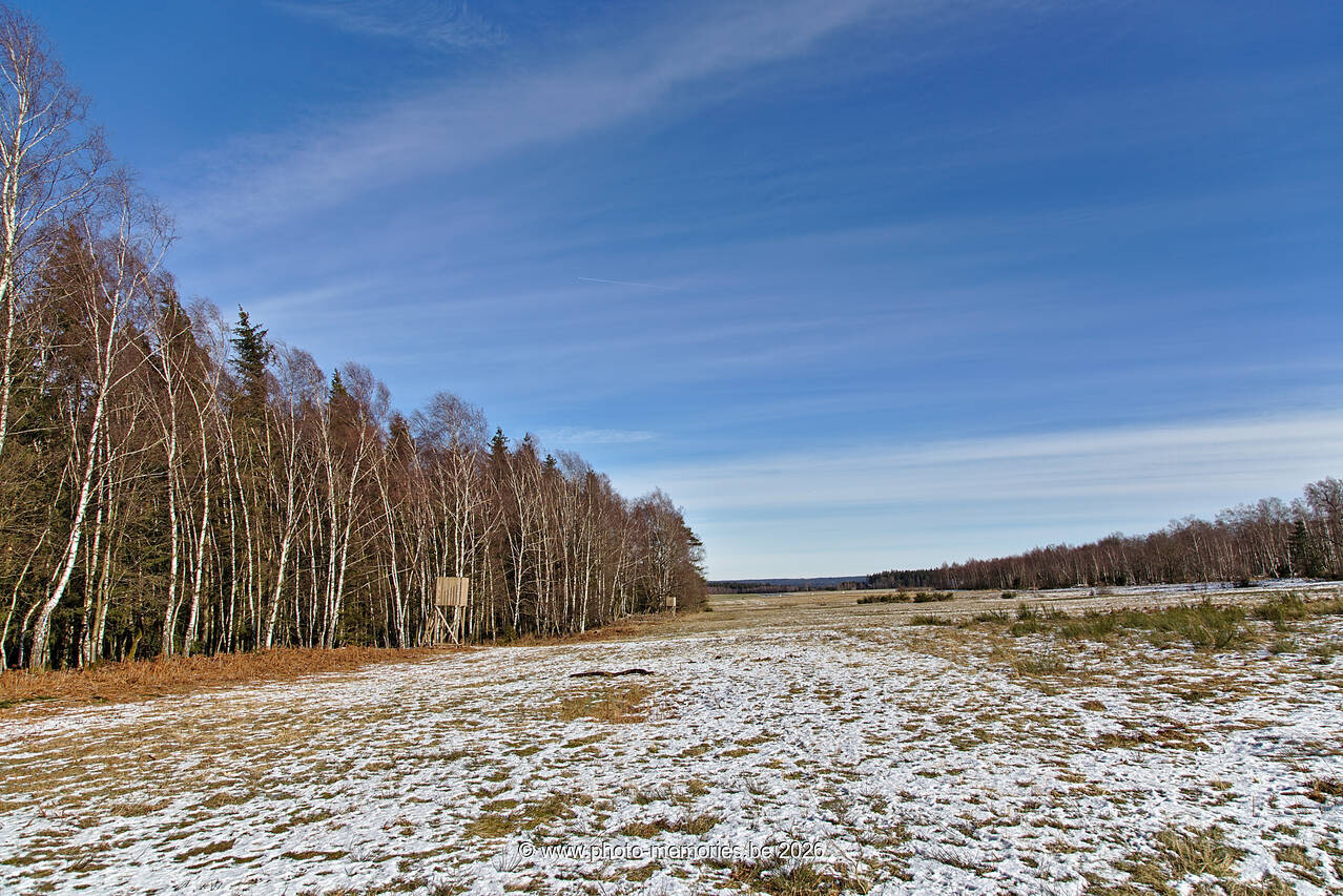 2021-02-14-0073.jpg