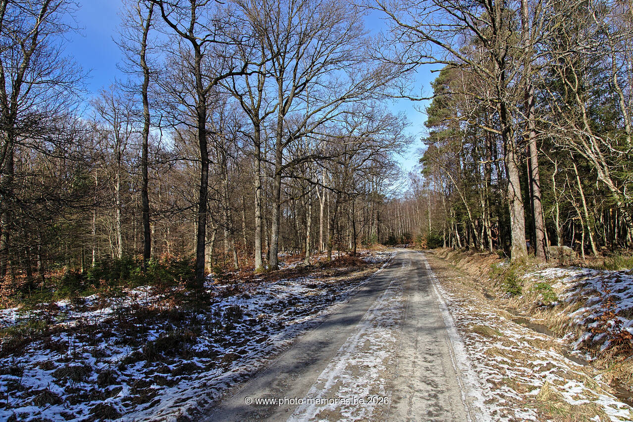 2021-02-14-0074.jpg