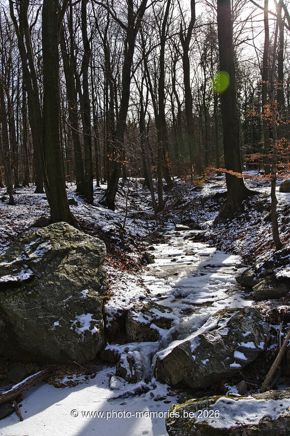 2021-02-14-0075.jpg
