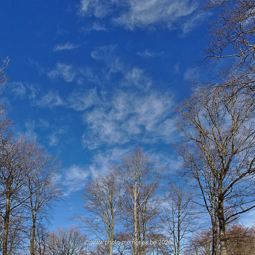 2021-02-14-0076.jpg