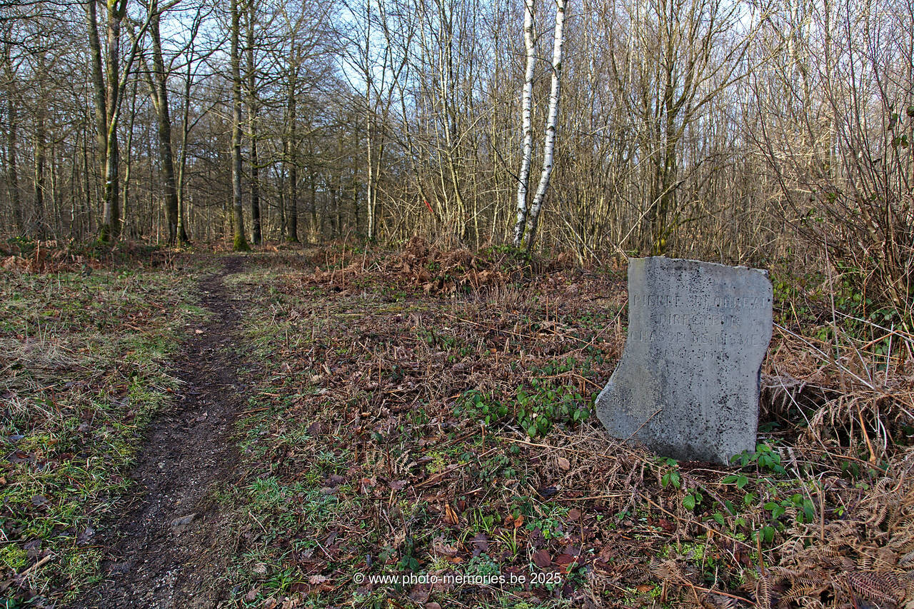 2021-02-20-0001.jpg