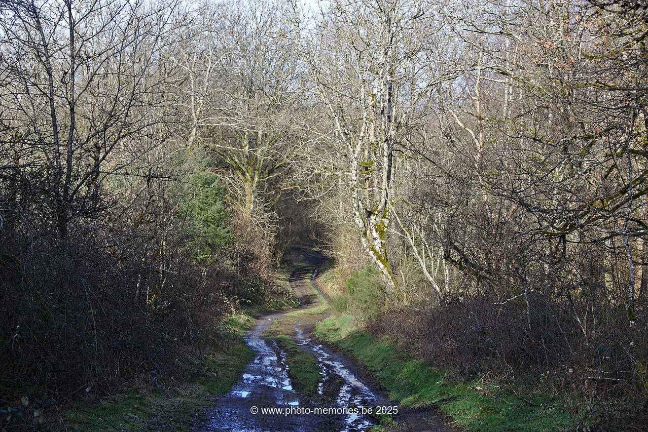 2021-02-20-0003.jpg
