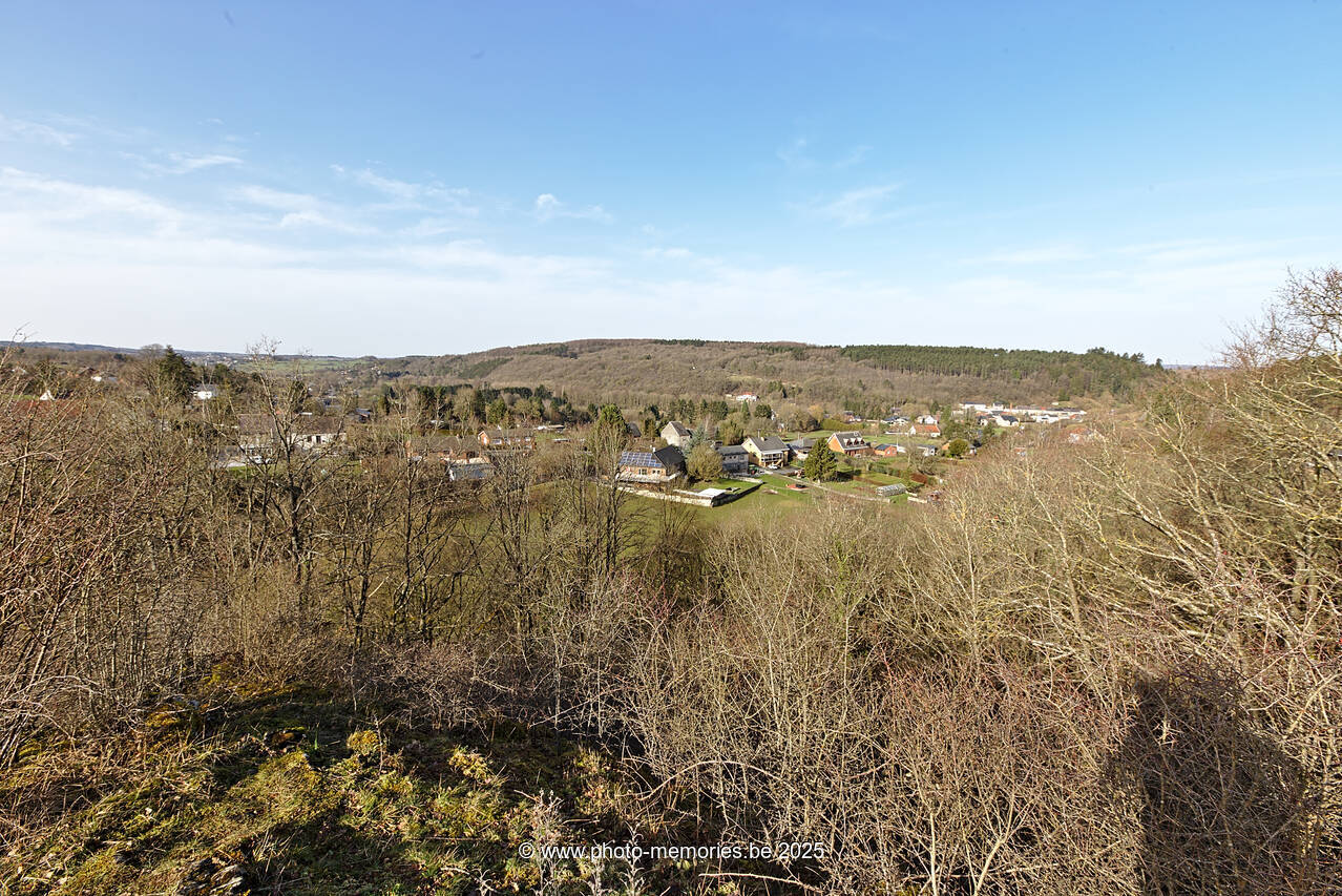 2021-02-20-0005.jpg