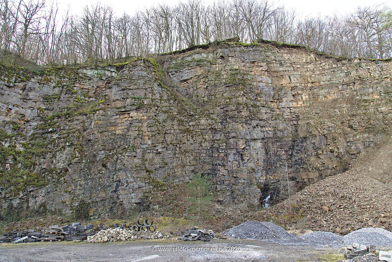 2021-02-20-0010.jpg