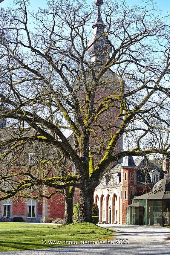 2021-02-21-0043.jpg
