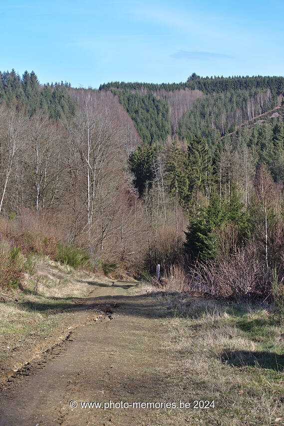 2021-03-28-0020.jpg
