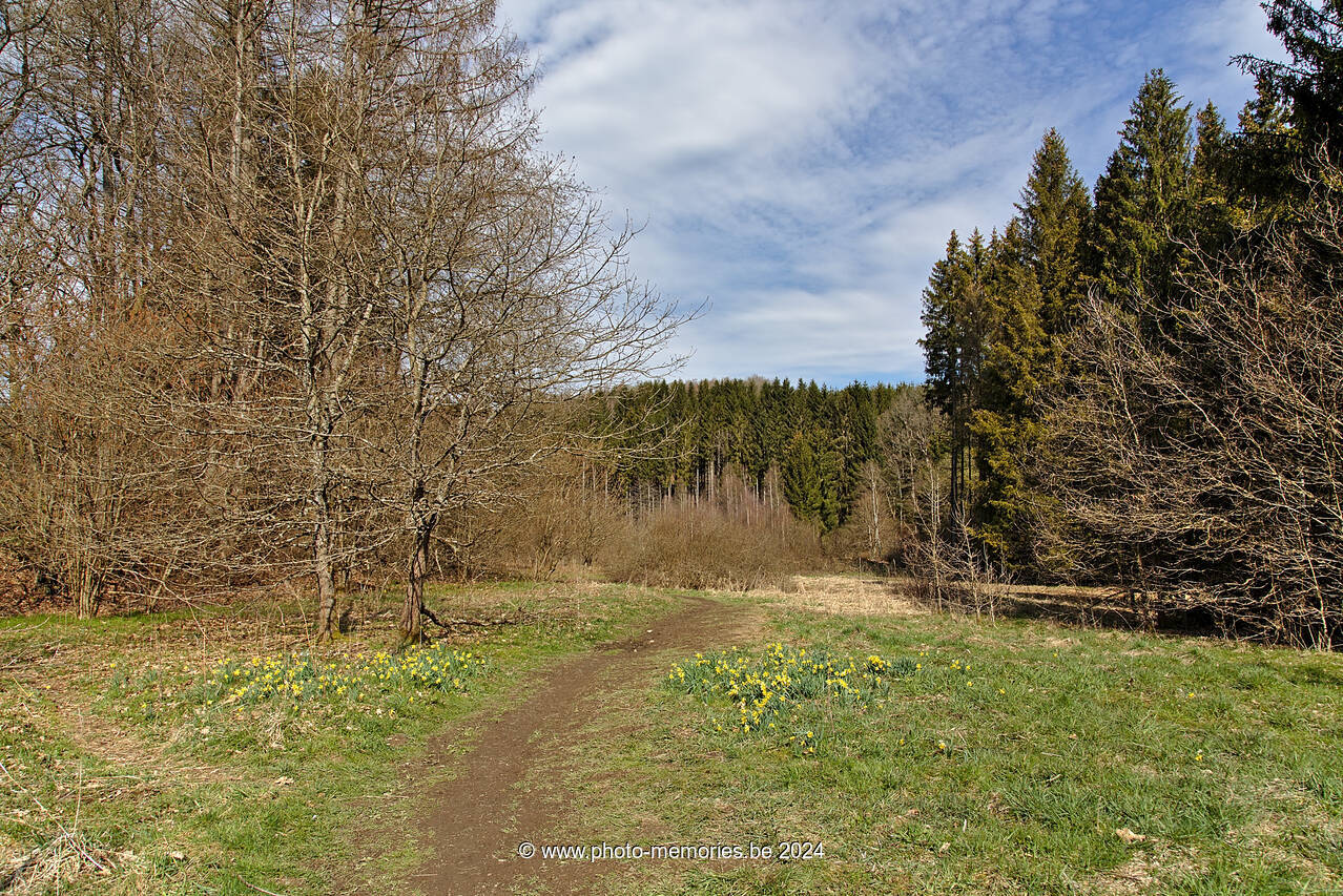 2021-04-17-0007.jpg
