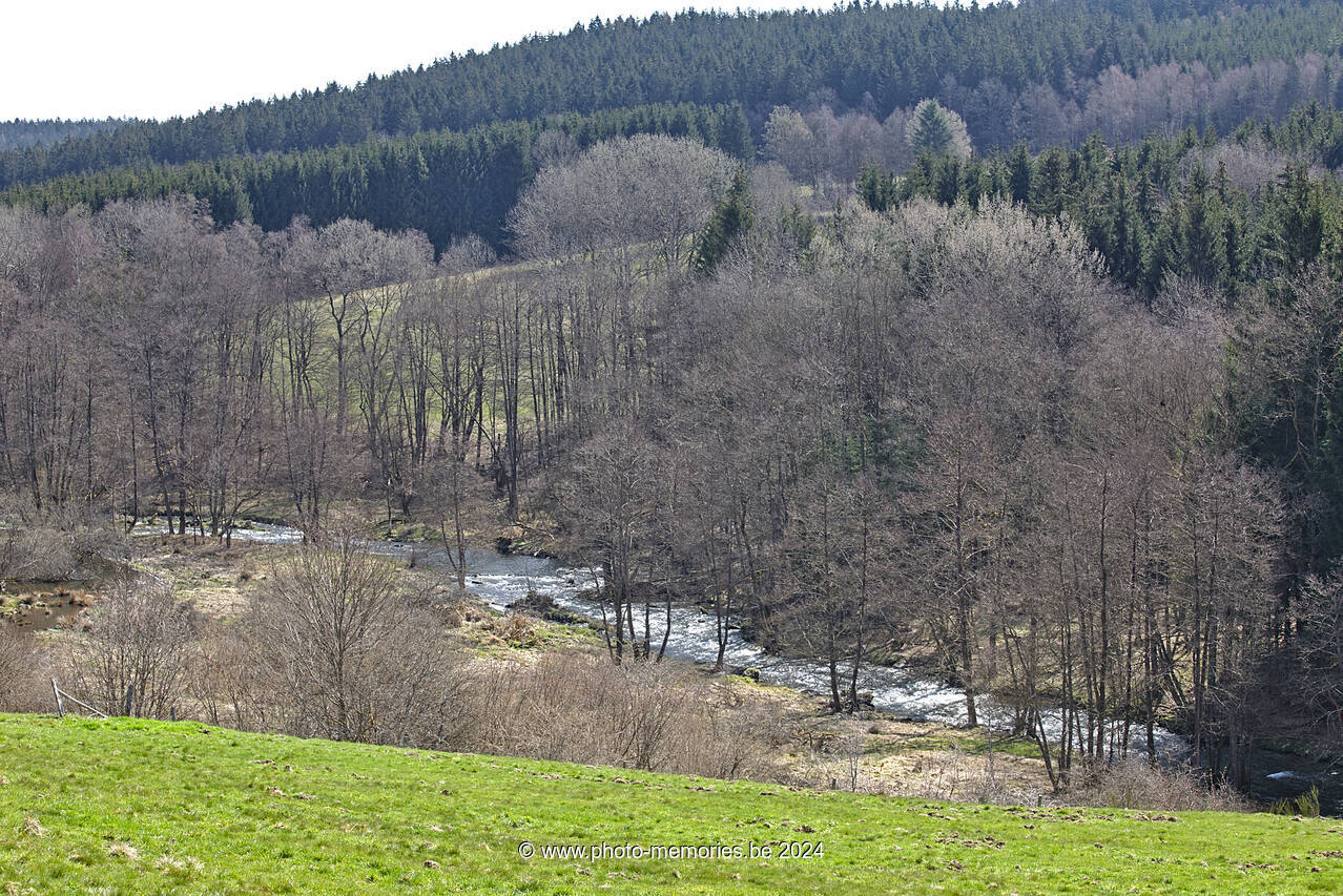 2021-04-17-0011.jpg