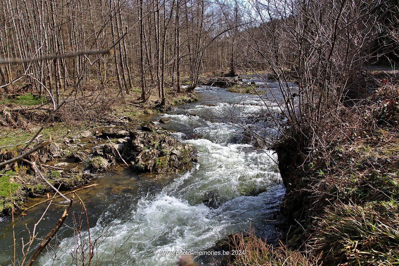 2021-04-17-0013.jpg