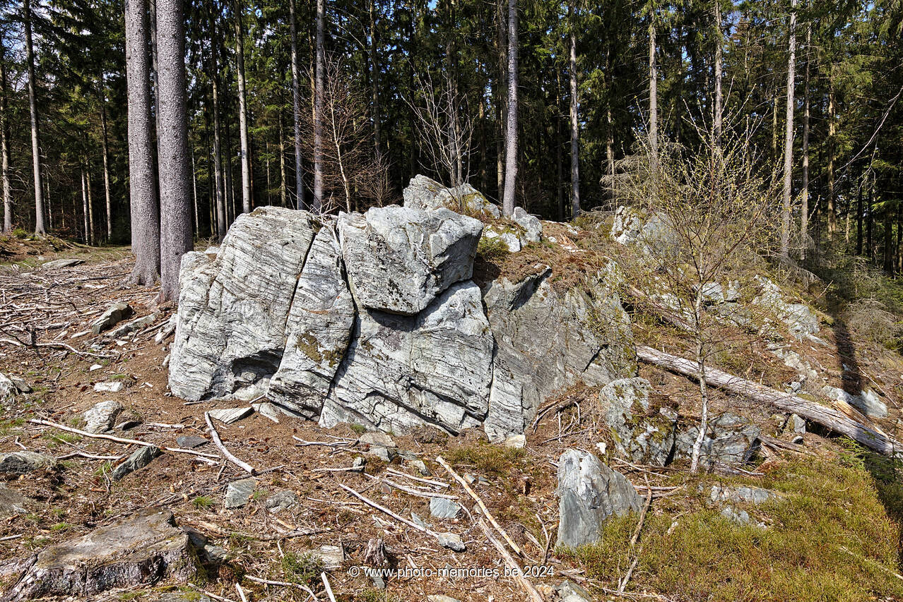 2021-04-17-0020.jpg