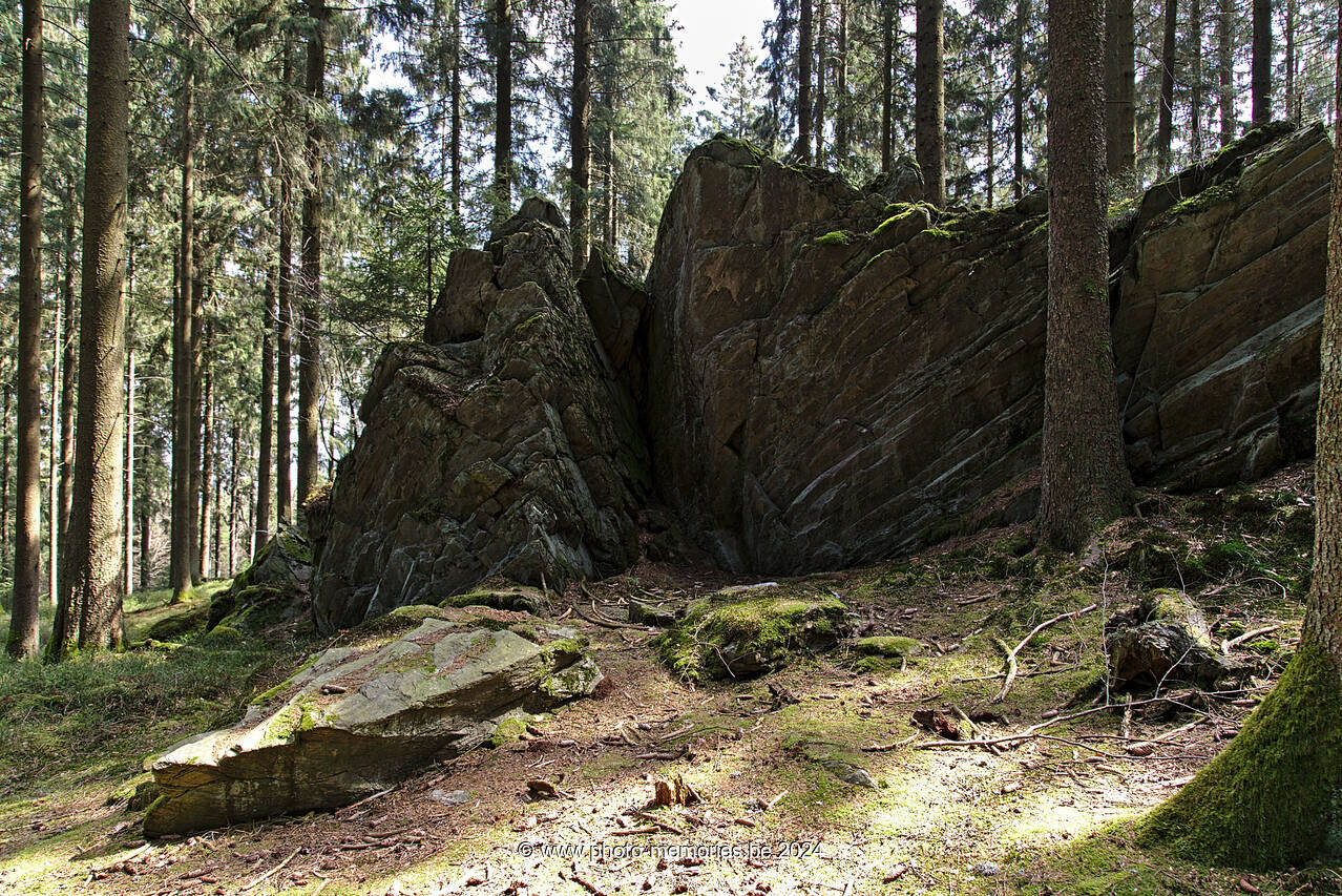 2021-04-17-0022.jpg