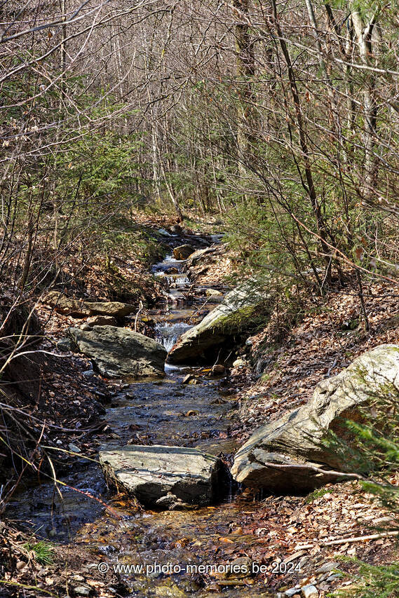 2021-04-17-0024.jpg