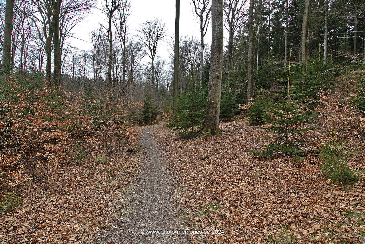 2021-04-18-0029.jpg