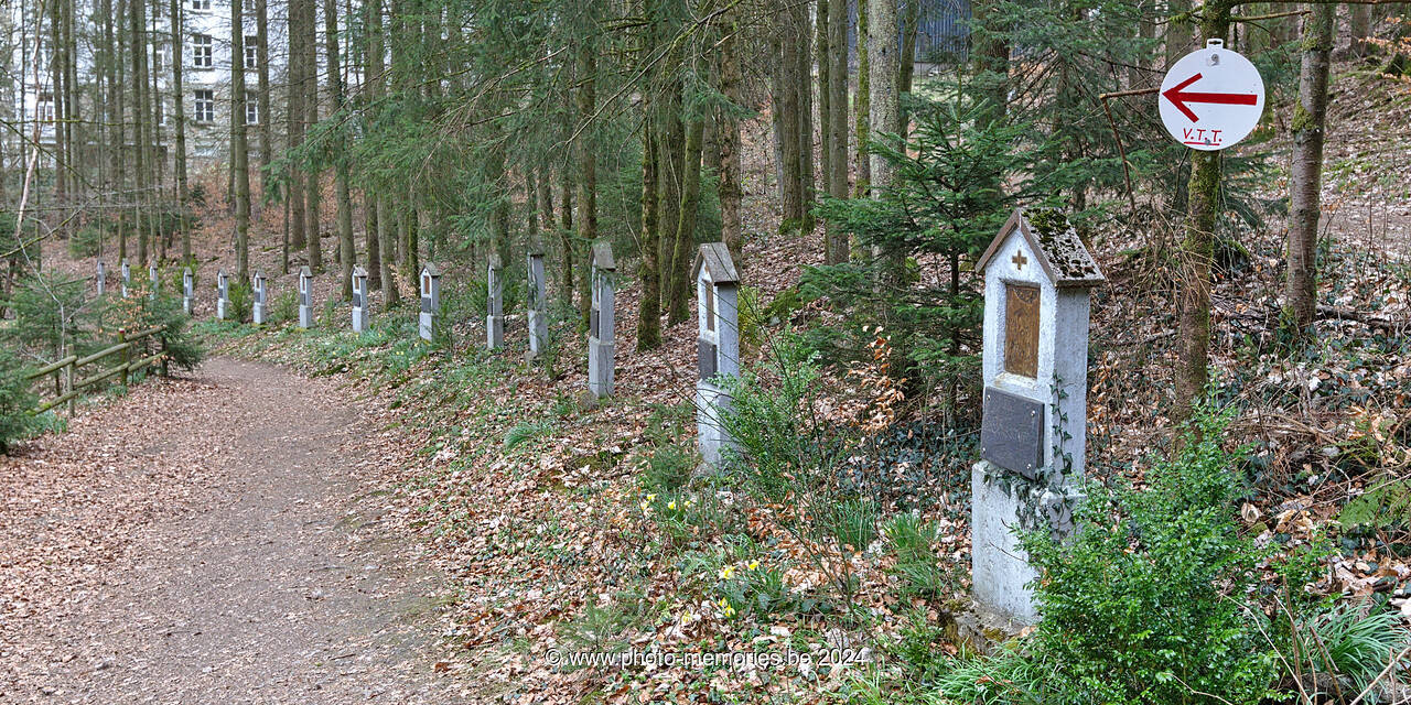 2021-04-18-0049.jpg