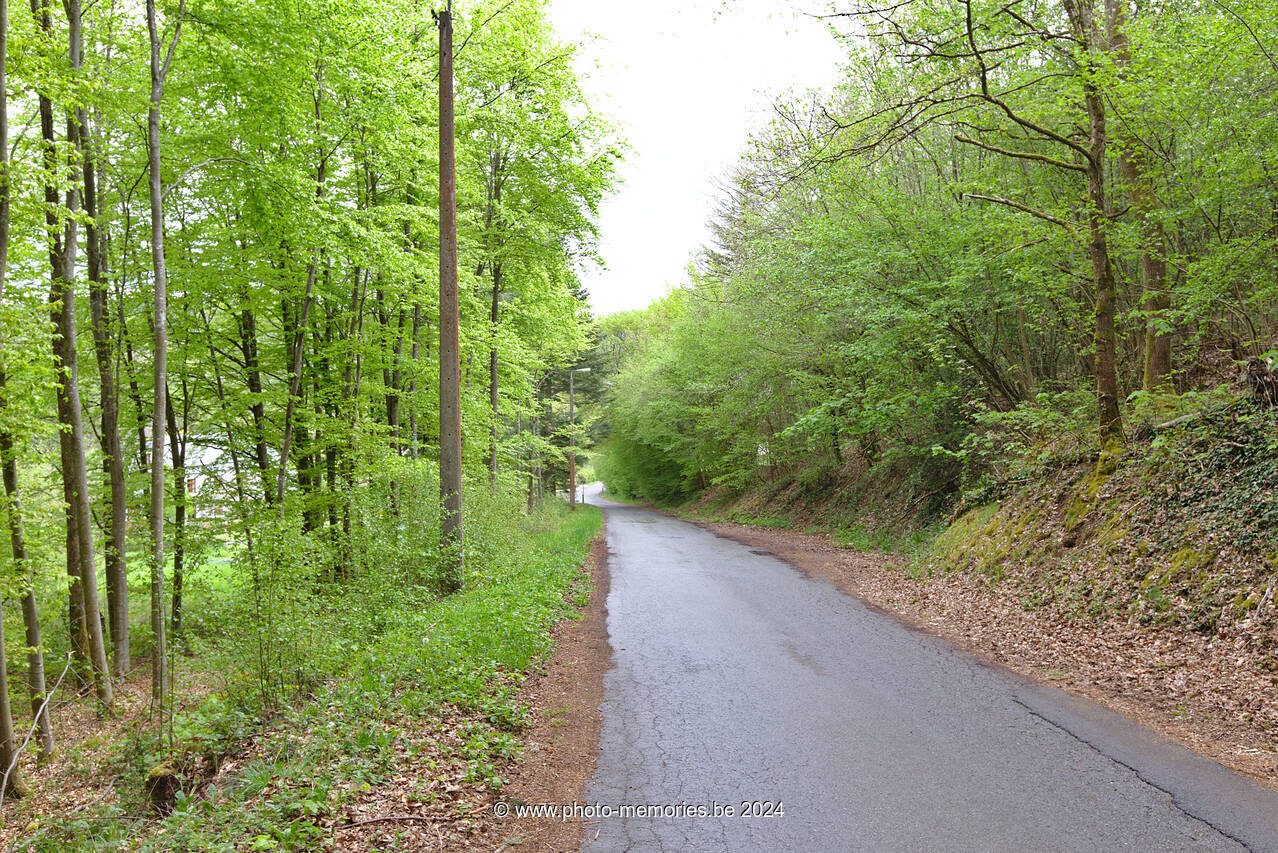 2021-05-15-0001.jpg