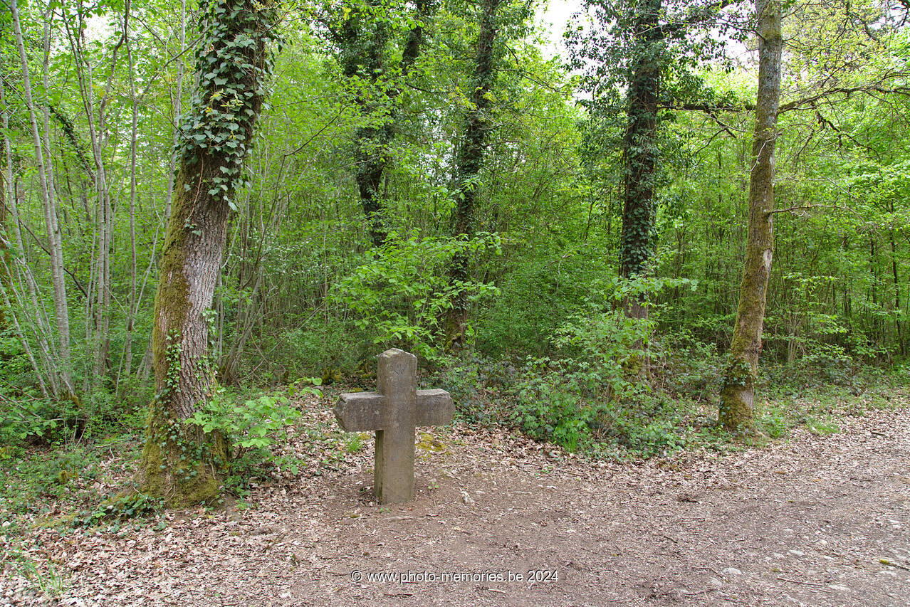 2021-05-15-0004.jpg