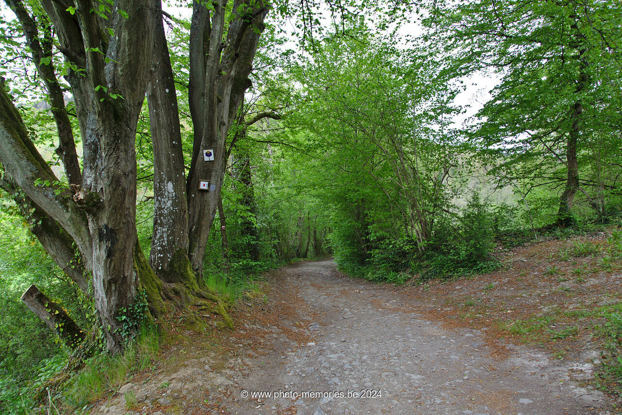 2021-05-15-0007.jpg