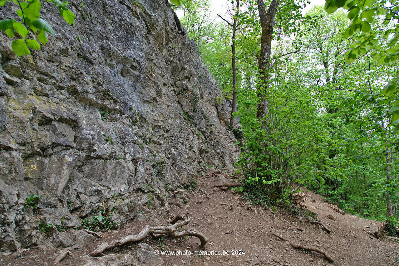 2021-05-15-0008.jpg