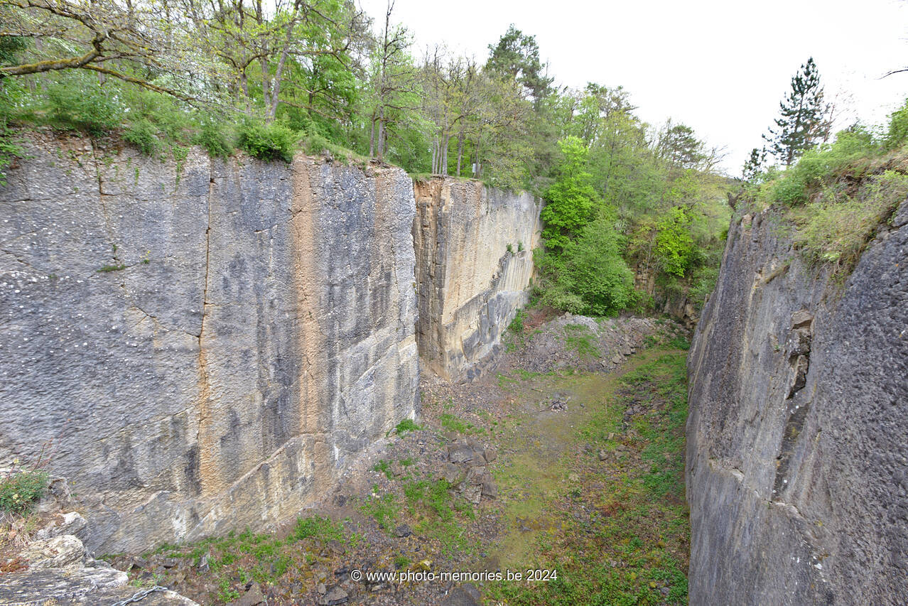 2021-05-15-0022.jpg