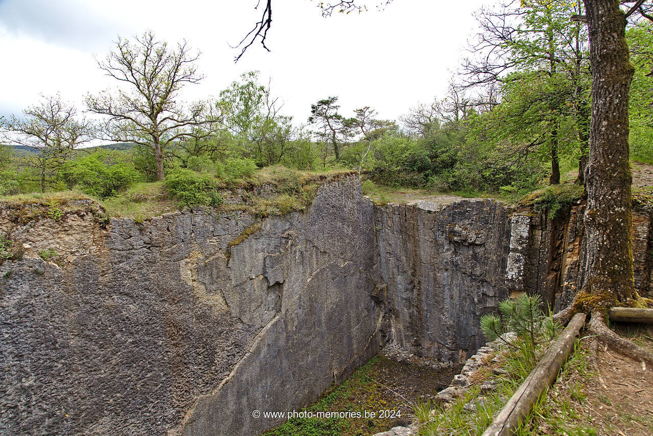 2021-05-15-0025.jpg