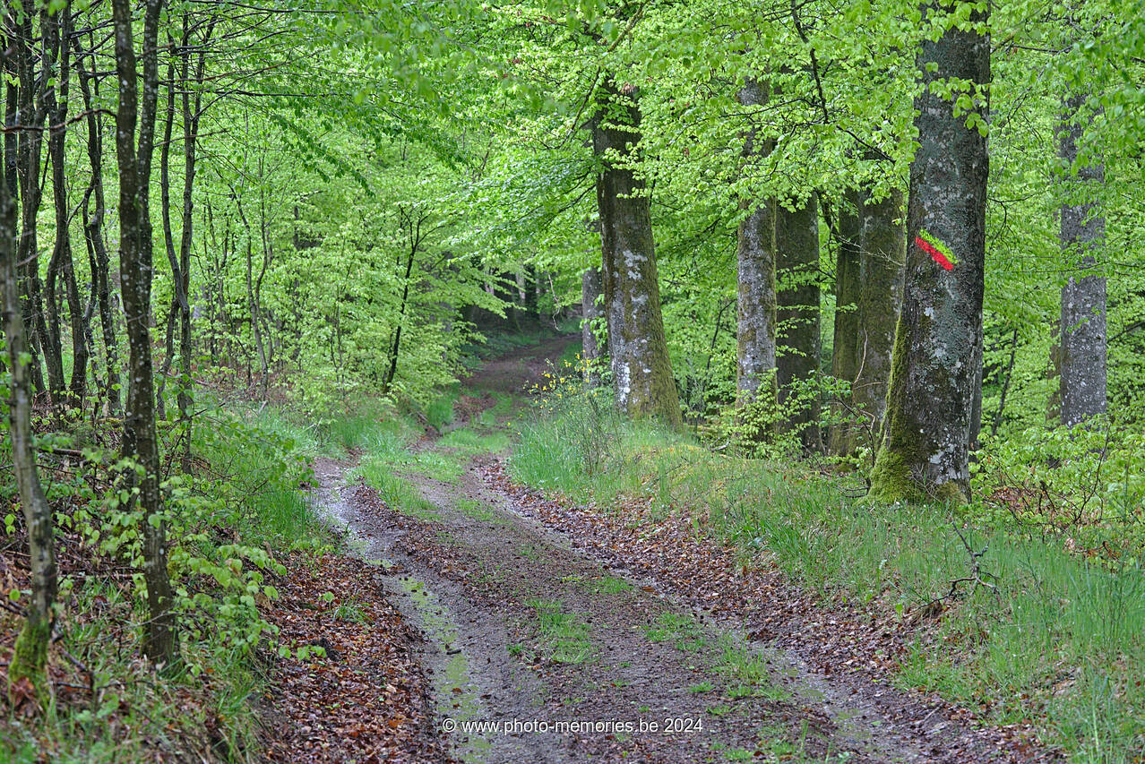2021-05-22-0004.jpg