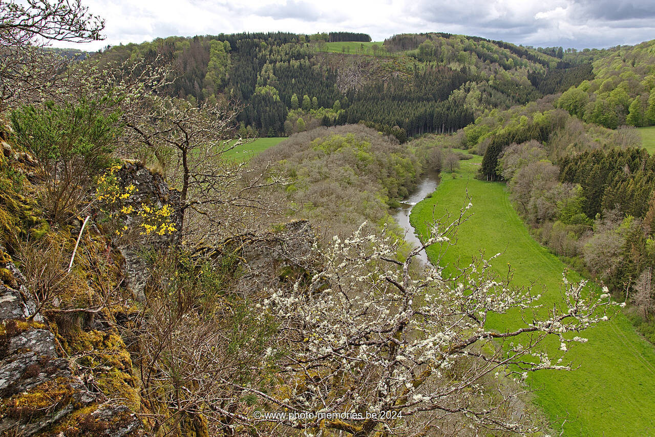 2021-05-22-0027.jpg