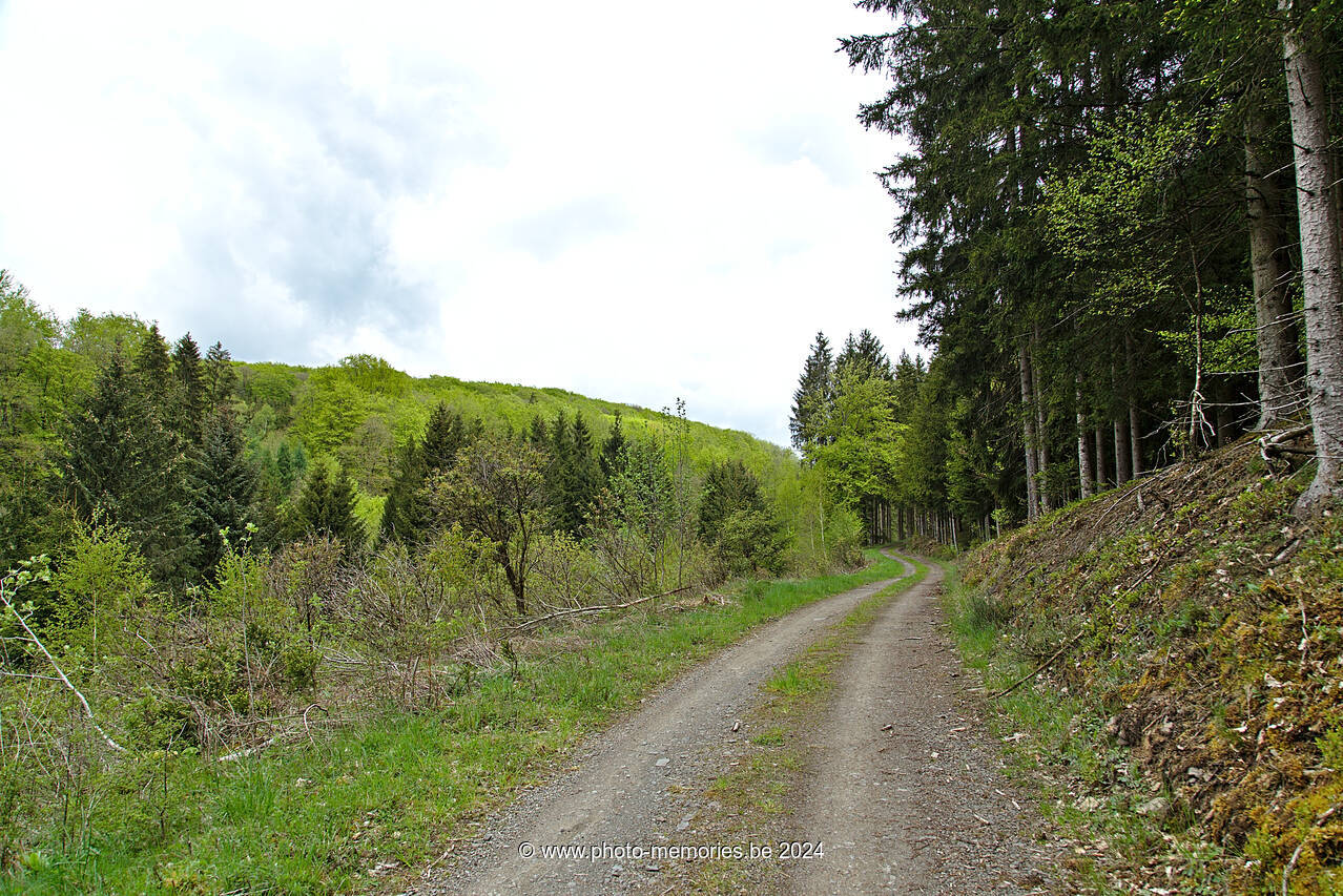 2021-05-23-0060.jpg