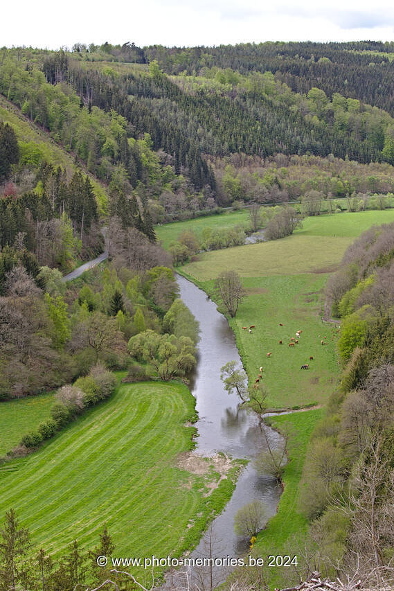 2021-05-23-0075.jpg