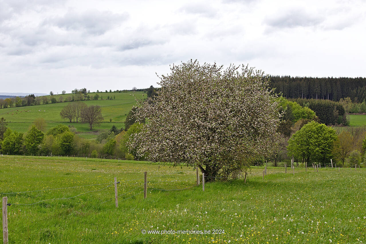 2021-05-24-0081.jpg