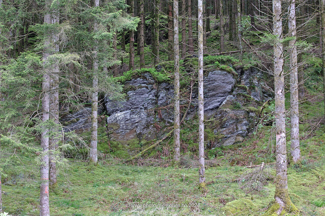 2021-05-24-0085.jpg